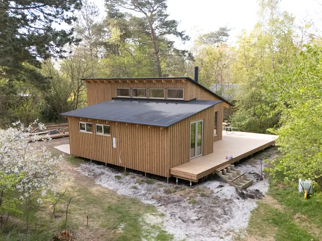 Mindre sommerhus i lærketræ med terrasse mellem fyrretræer — billede 18 af 21