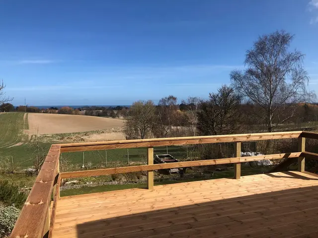 Hævet træterrasse med værn og trappe — billede 9 af 30