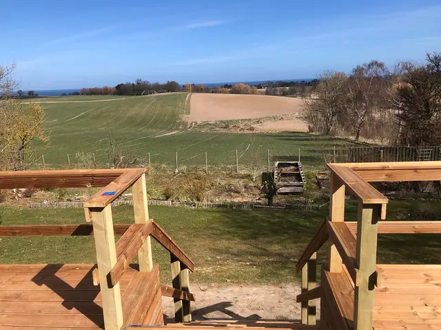 Hævet træterrasse med værn og trappe — billede 10 af 30